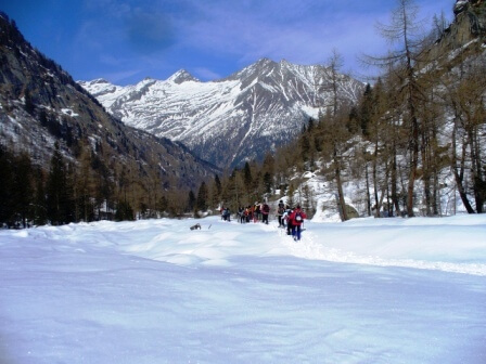 paesaggio invernale